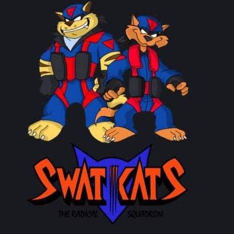 Swat Kats/gatos