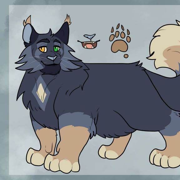 Jackson/gato/Stolen hope