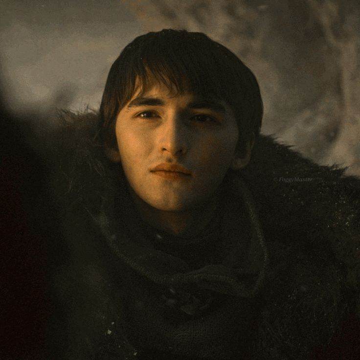 Brandon Stark