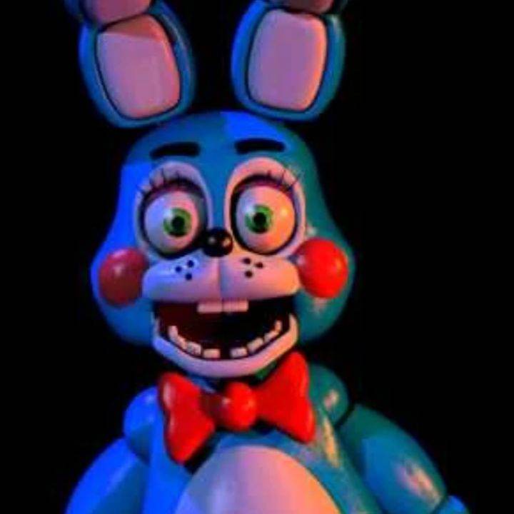 Toy Bonnie