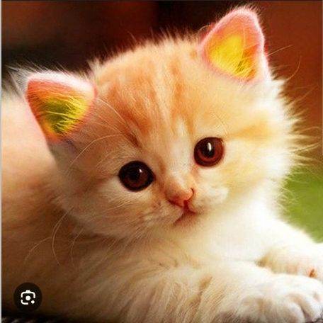 🔥Котя