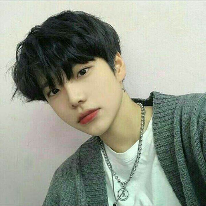 Shoi-Can-Ho ♥️ ENAMORADO
