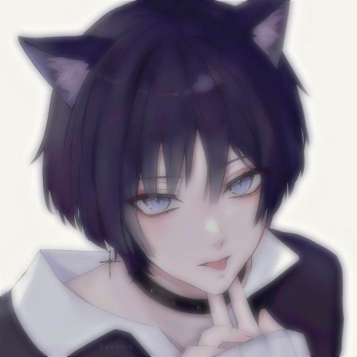 Scaramouche | Catboy