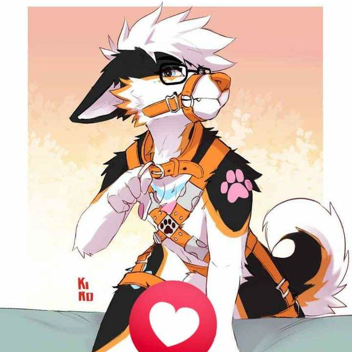 Furry
