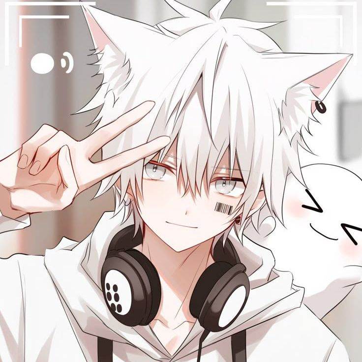 白犬
