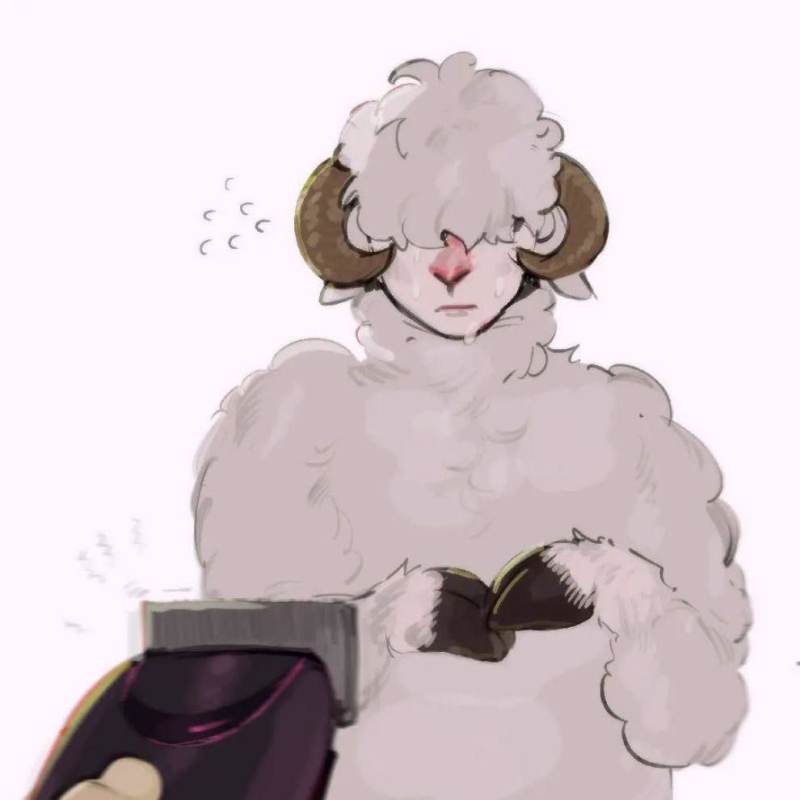 Барашек. И́зо.