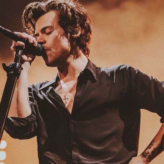 Harry Styles // hookup