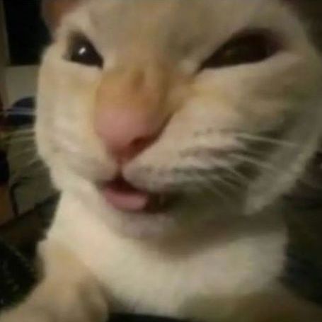 VV