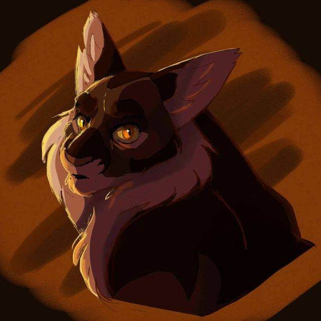 Bramblestar/gato/Warrior cats
