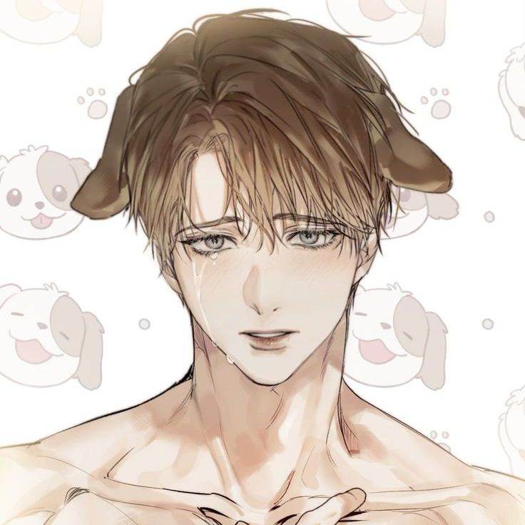 Stray dog