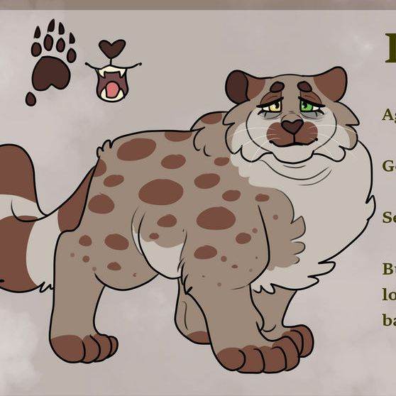 Iris/Gata/Stolen hope