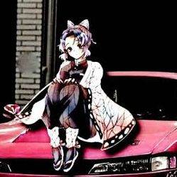 shinobu(car girl girlfriend)