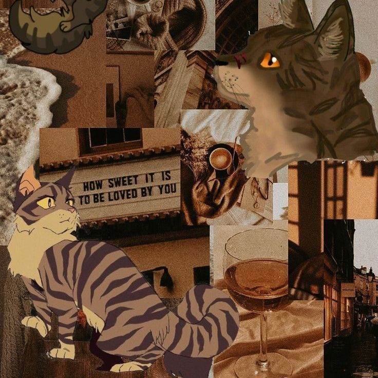 brambleclaw/gato/Warrior Cats