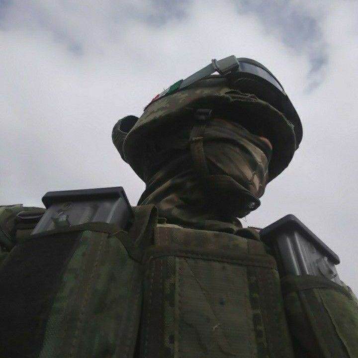 Кит