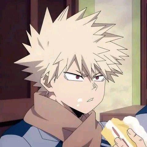 bakugou katzuki
