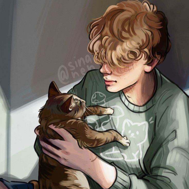 Seu colega de quarto /Noah