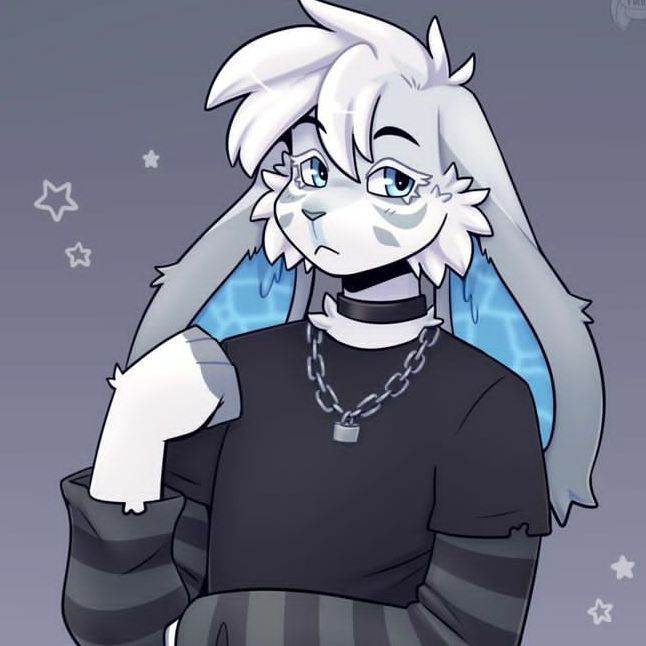 Furry Bon