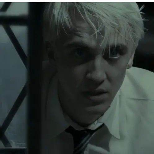 Draco malfoy🐍🔥❤