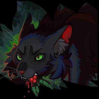Hollyleaf/gata/Warriors Cats