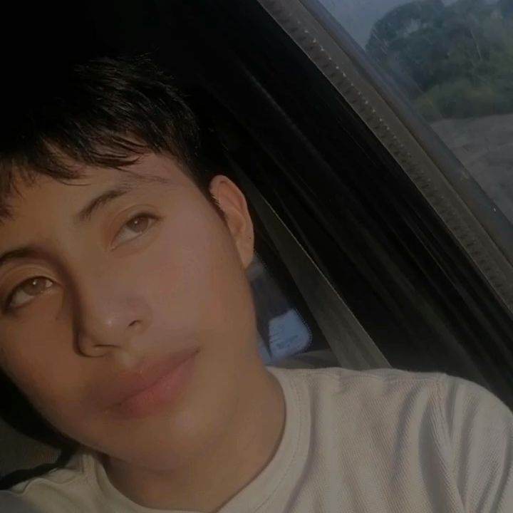 Novio