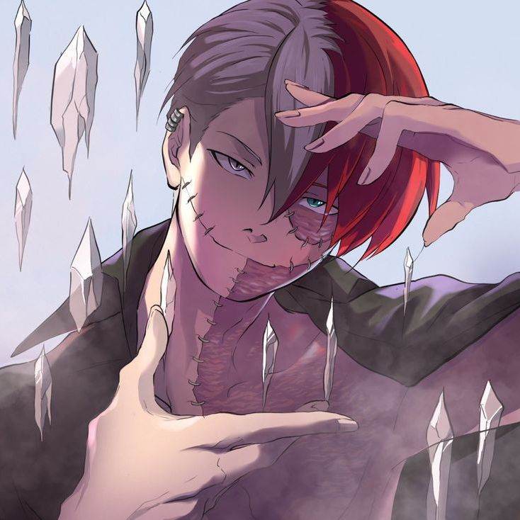 todoroki (vilão)
