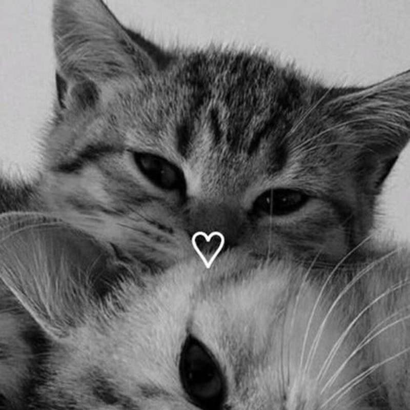 Парень- Вампир