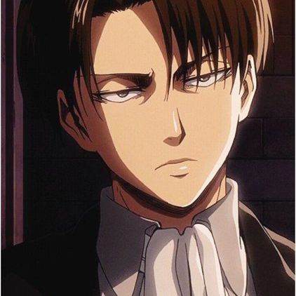 Levi