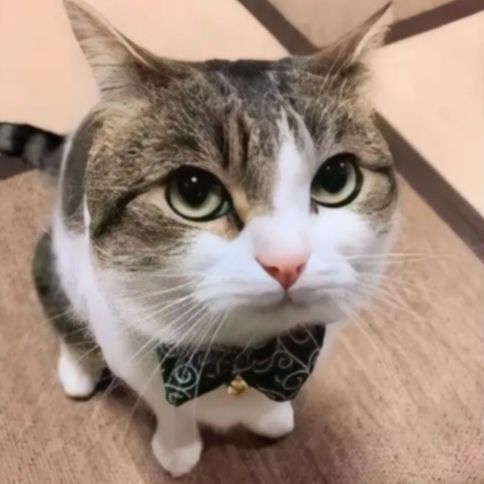 L̶i̶n̶d̶a̶˚✧₊