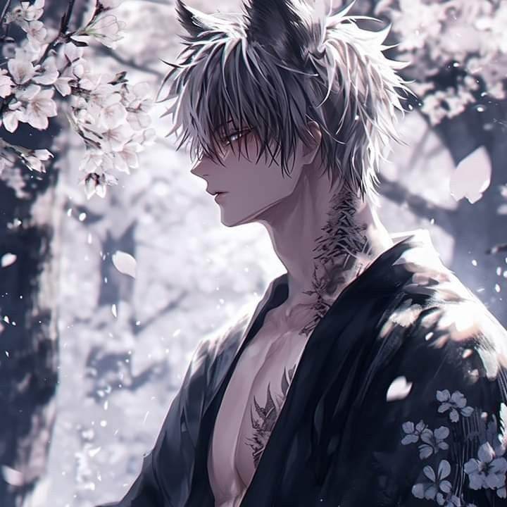✩🐺Kaito 🐺✩