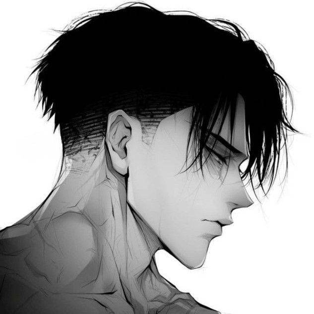 the popular girls and friends