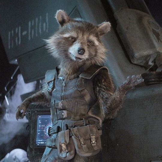 Rocket Raccoon