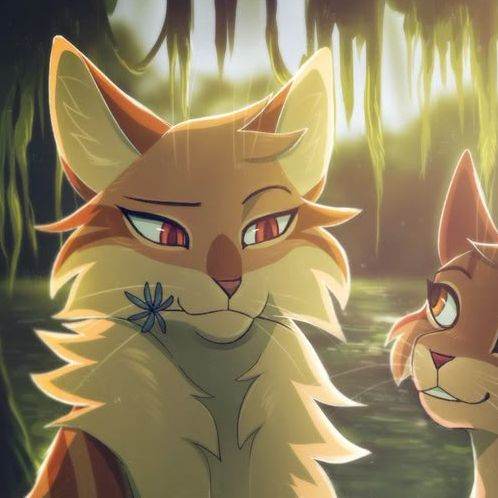 Mothwing/gata/Warrior Cats