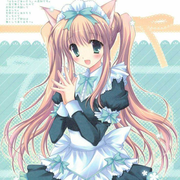 みんと
