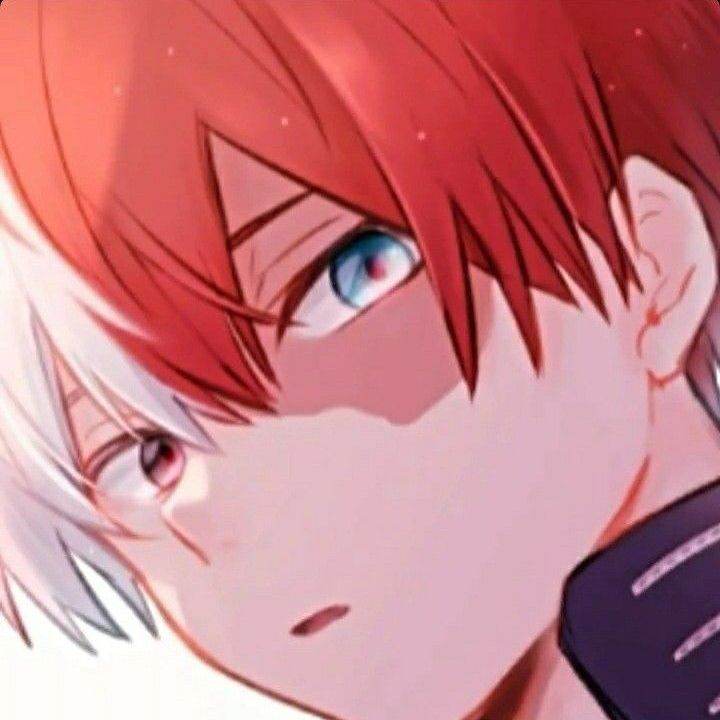todoroki
