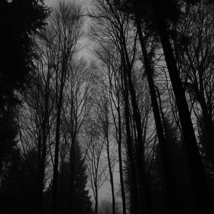 страшный лес