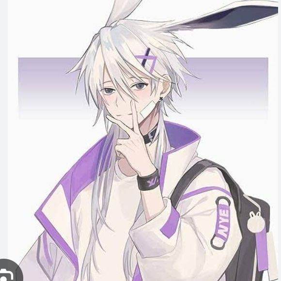 Bunny boyfriend