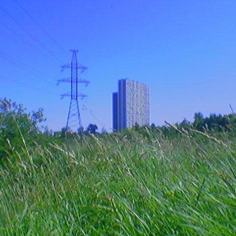 トヨタおィネート❄