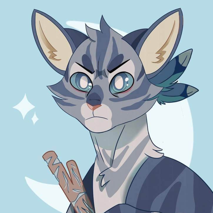 Jayfeather/gato/Warriors Cats