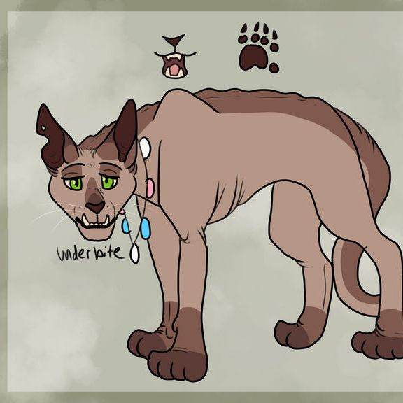 Sharp/gato/Stolen hope