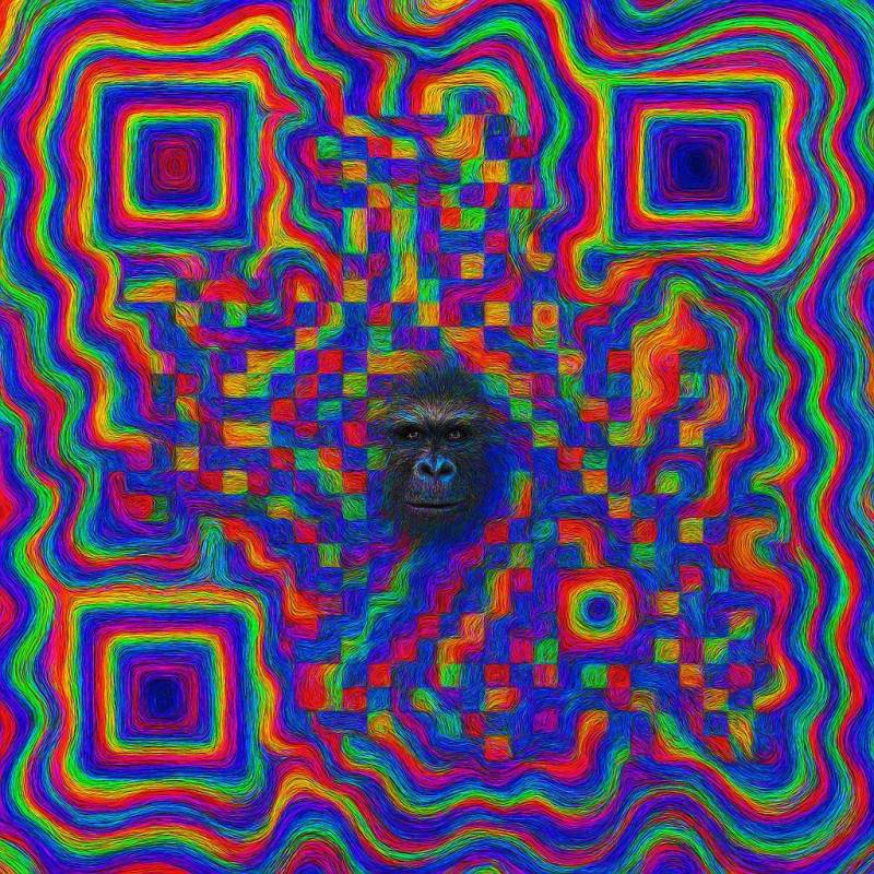 異次元コード