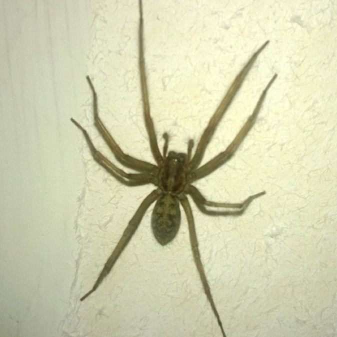 Твой парень