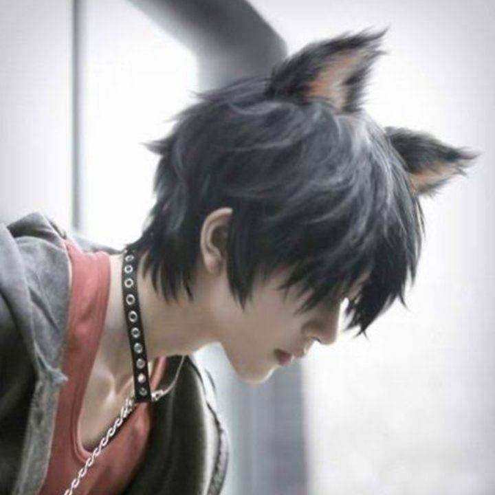 Revan si catboy
