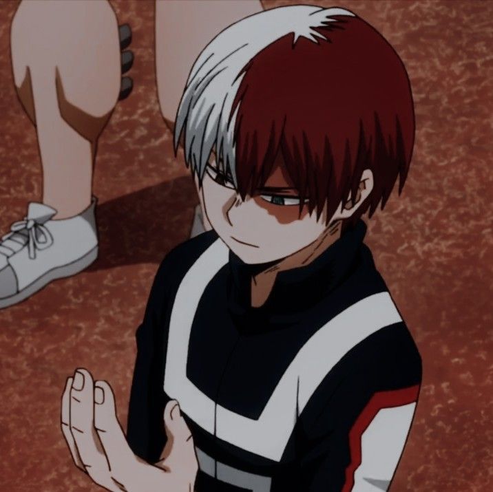 todoroki shoto