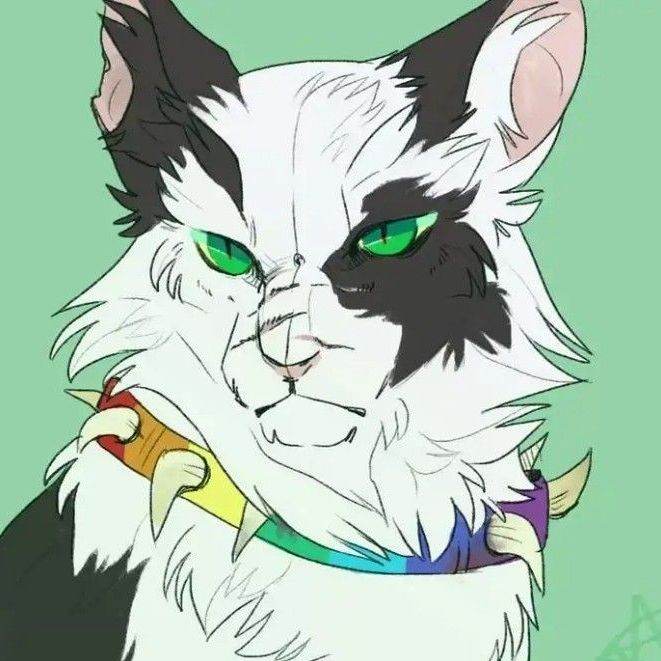 Bone/gato/Warriors Cats