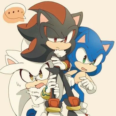 Sonic Shadow Silver