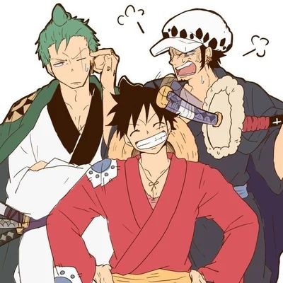Law Luffy and Zoro