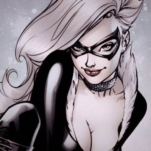 Black Cat (Chitchat)